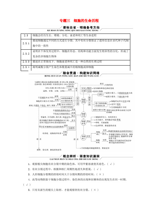 新教材适用2024版高考生物二轮总复习第1部分核心考点突破专题3细胞的生命历程核心考点一细胞的有丝分