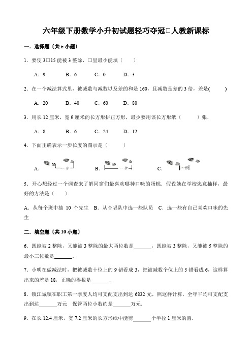 六年级下册数学小升初试题轻巧夺冠∣人教新课标