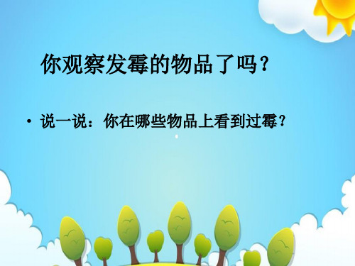 苏教版小学科学六年级上册馒头发霉了课件(1)