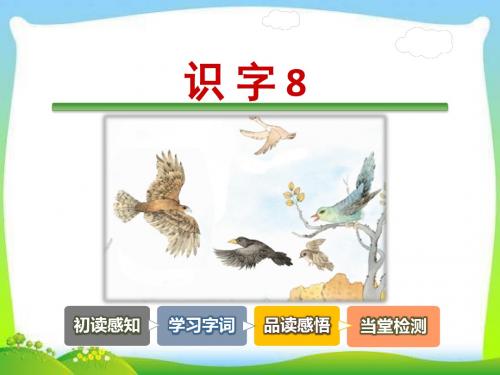 新苏教版二年级语文下册识字8课件