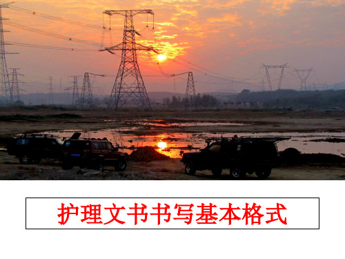 最新护理文书书写基本格式