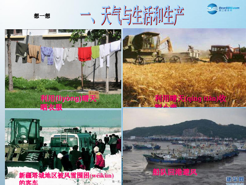 八年级科学上册 2.5 天气预报课件2 浙教版