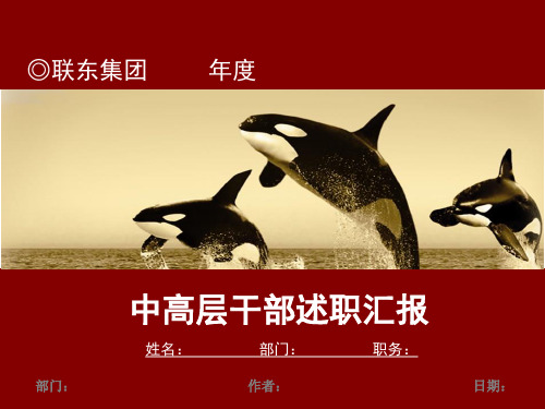 联东集团中高层干部述职汇报 