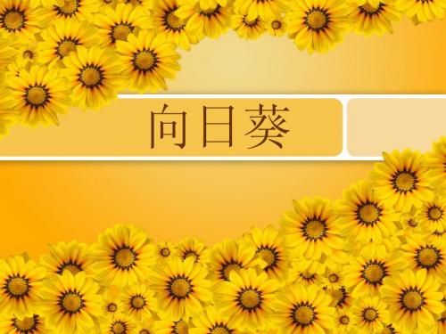 第三课_向日葵课件