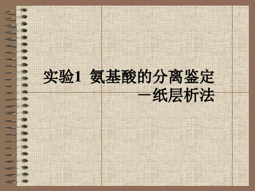 实验1 氨基酸的分离鉴定.ppt