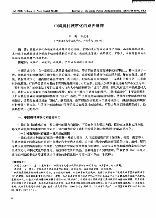 中国农村城市化的路径选择