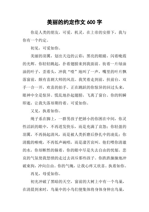 美丽的约定作文600字