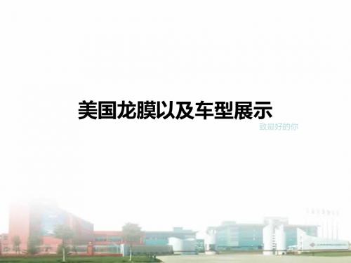 龙膜太阳膜安全膜专营电子质保