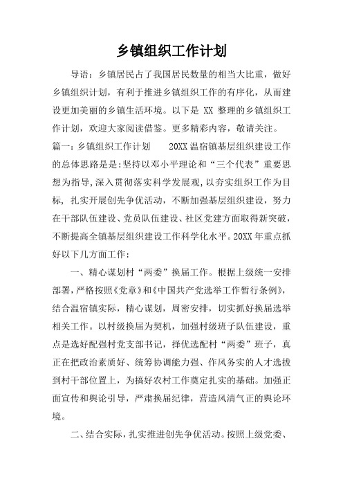 乡镇组织工作计划