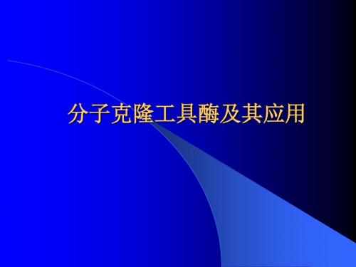 分子克隆工具酶及其应用
