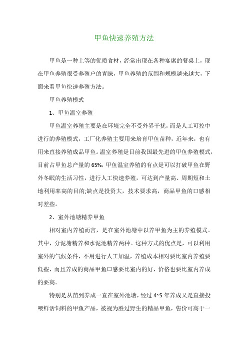 甲鱼快速养殖方法