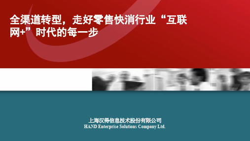 汉德咨询SAP方案