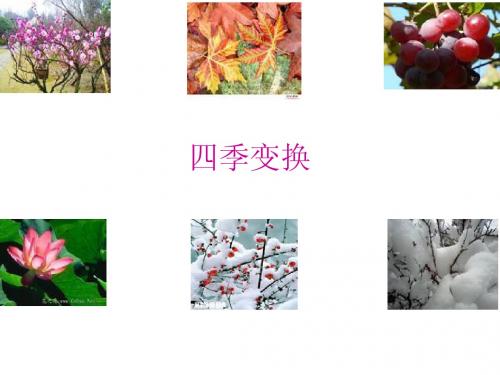 我和秋天有个约会