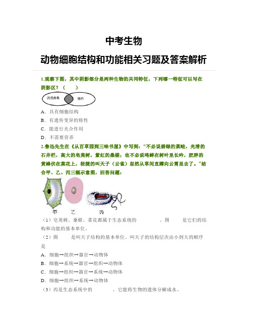 中考生物：动物细胞结构和功能相关习题及答案解析