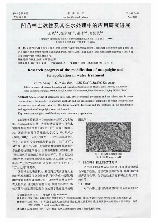 凹凸棒土改性及其在水处理中的应用研究进展