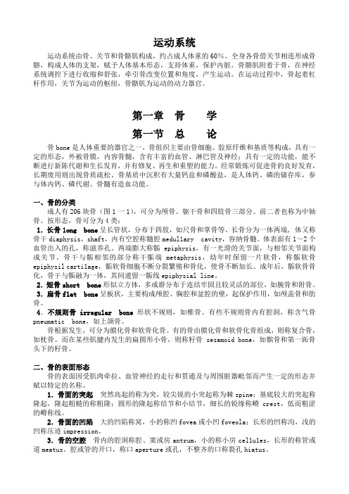 系统解剖学 第7版