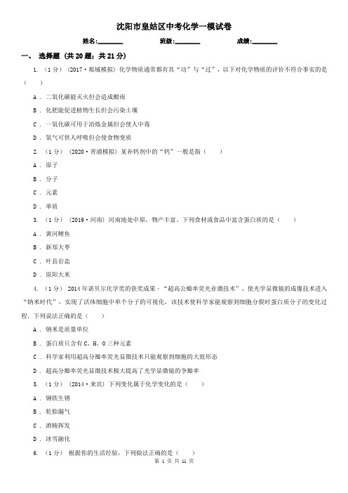 沈阳市皇姑区中考化学一模试卷