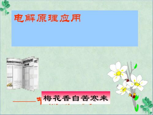 《氯碱工业》课件