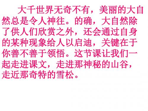 六下《山谷中的谜底》ppt课件全面版