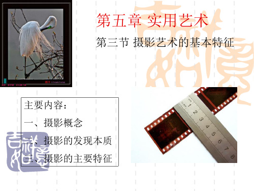 第三节摄影艺术的基本特征精品PPT课件