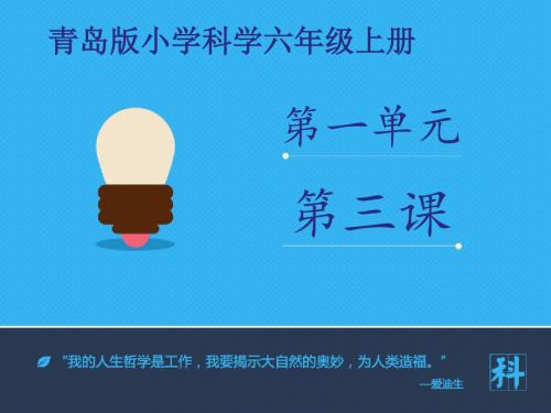 《馒头发霉了》课件1