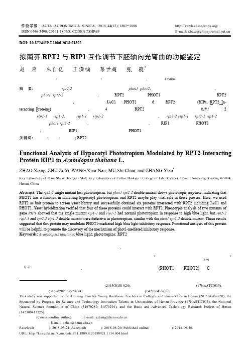 拟南芥RPT2与RIP1互作调节下胚轴向光弯曲的功能鉴定