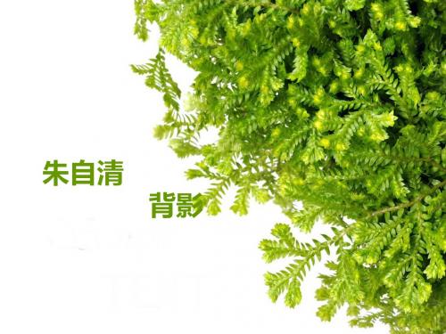 初中二年级语文上册第一课时课件