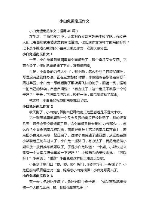 小白兔运南瓜作文25篇