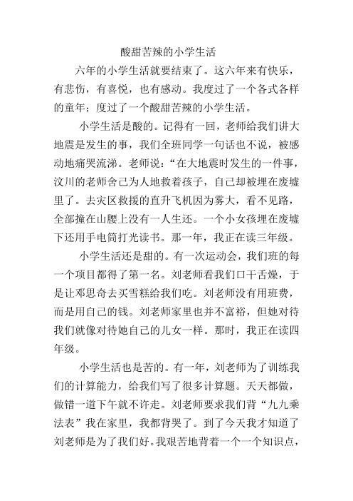 酸甜苦辣的小学生活
