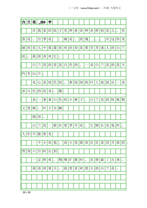 二年级写景作文：白兰花_200字