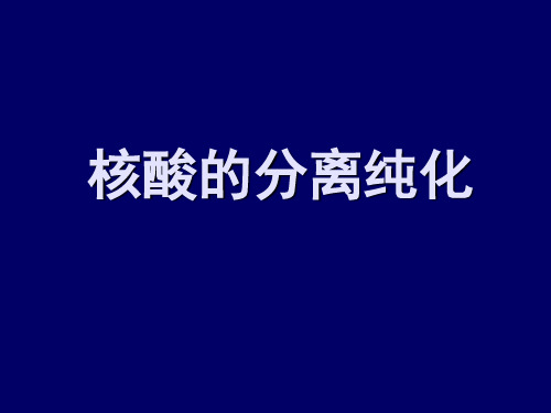 核酸的分离与纯化