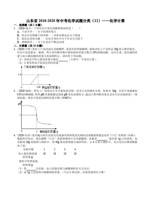 《化学计算(含解析)》2022年中考复习专练 (2)