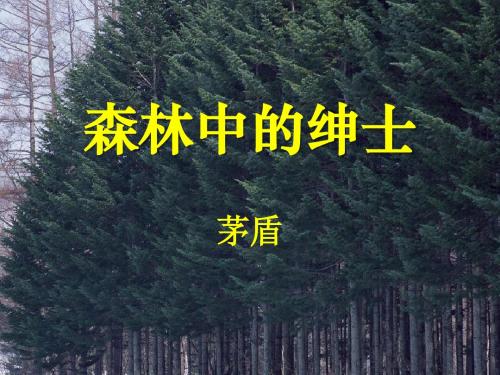 《森林中的绅士》PPT课件