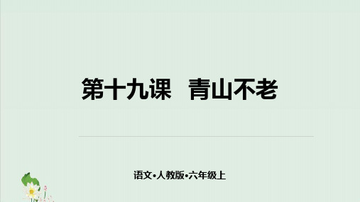 (部编版)小学语文六级上册《青山不老》PPT公开课课件
