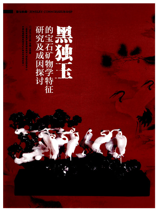 黑独玉的宝石矿物学特征研究及成因探讨
