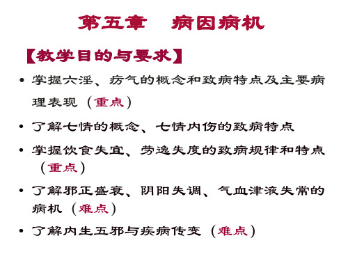 5病因病机精品PPT课件