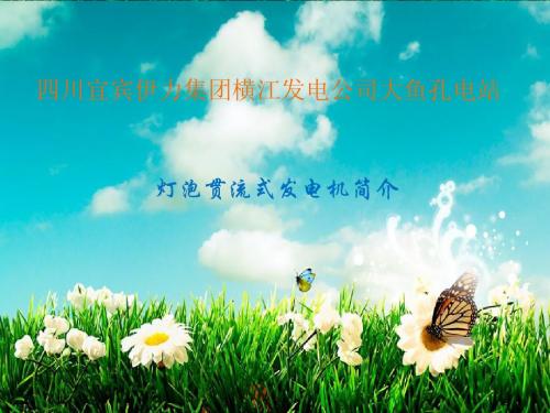 大鱼孔电站发电机简介