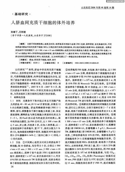 人脐血间充质干细胞的体外培养