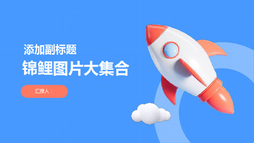 锦鲤图片大集合