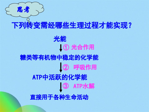 生物《细胞呼吸》课件(共27张PPT)