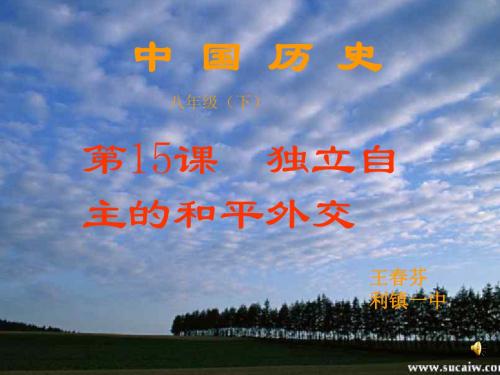 独立自主的和平外交 PPT课件12 人教版
