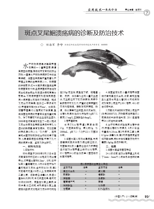 斑点叉尾鮰溃疡病的诊断及防治技术
