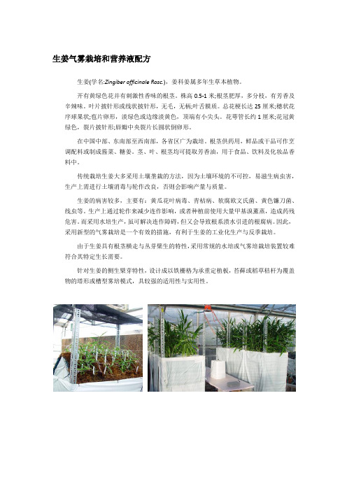 生姜气雾栽培和营养液配方