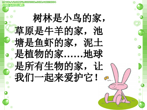 苏教版六年级科学下册第四单元《寻找生物的家园》课件