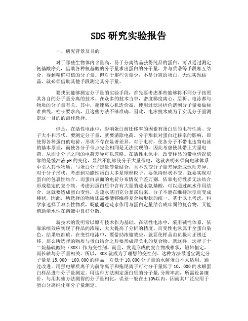 SDS研究实验报告
