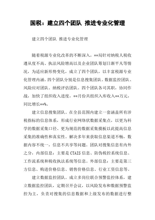 国税：建立四个团队 推进专业化管理