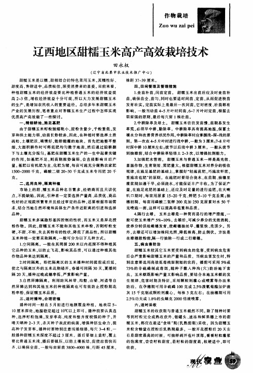 辽西地区甜糯玉米高产高效栽培技术