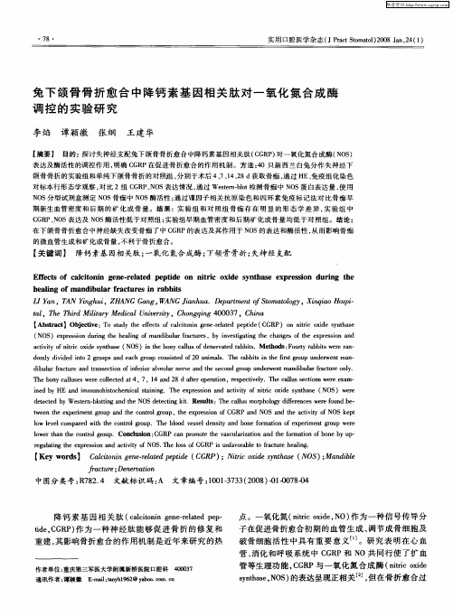 兔下颌骨骨折愈合中降钙素基因相关肽对一氧化氮合成酶调控的实验研究