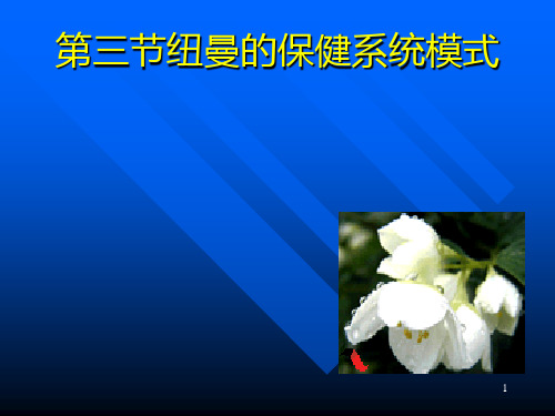纽曼的系统模式PPT学习课件