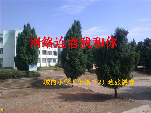 张恩睿《网络连着我和你》